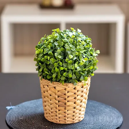 아파트 Le Nature Un Joli F2 Au Coeur De ! 루앙