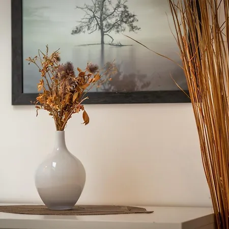 Appartement Le Nature Un Joli F2 Au Coeur De ! Rouen