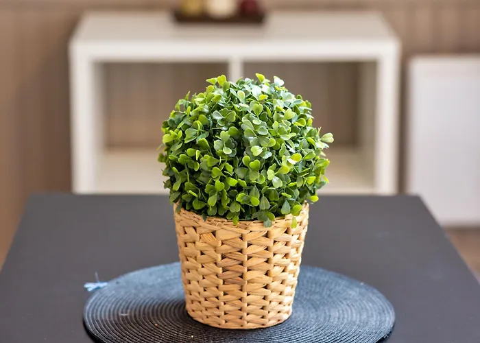 Apartamento Le Nature Un Joli F2 Au Coeur De ! Ruão