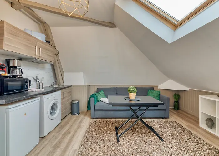 Appartement Le Nature Un Joli F2 Au Coeur De ! Rouen