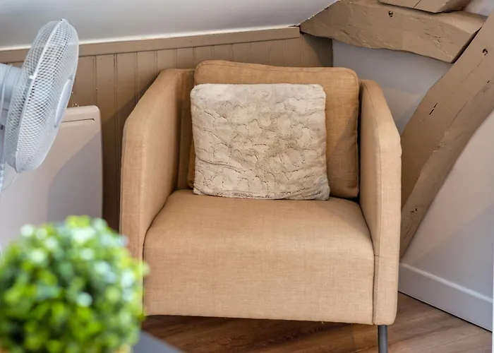 Le Nature Un Joli F2 Au Coeur De ! * Rouen