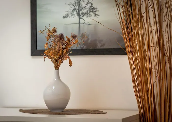 Appartement Le Nature Un Joli F2 Au Coeur De ! Rouen